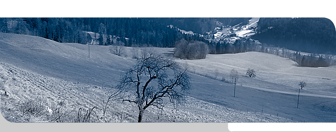 Seitenbilder jucker-wohnimmobilien.ch